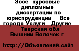 Эссе, курсовые, дипломные, диссертации по юриспруденции! - Все города Услуги » Другие   . Тверская обл.,Вышний Волочек г.